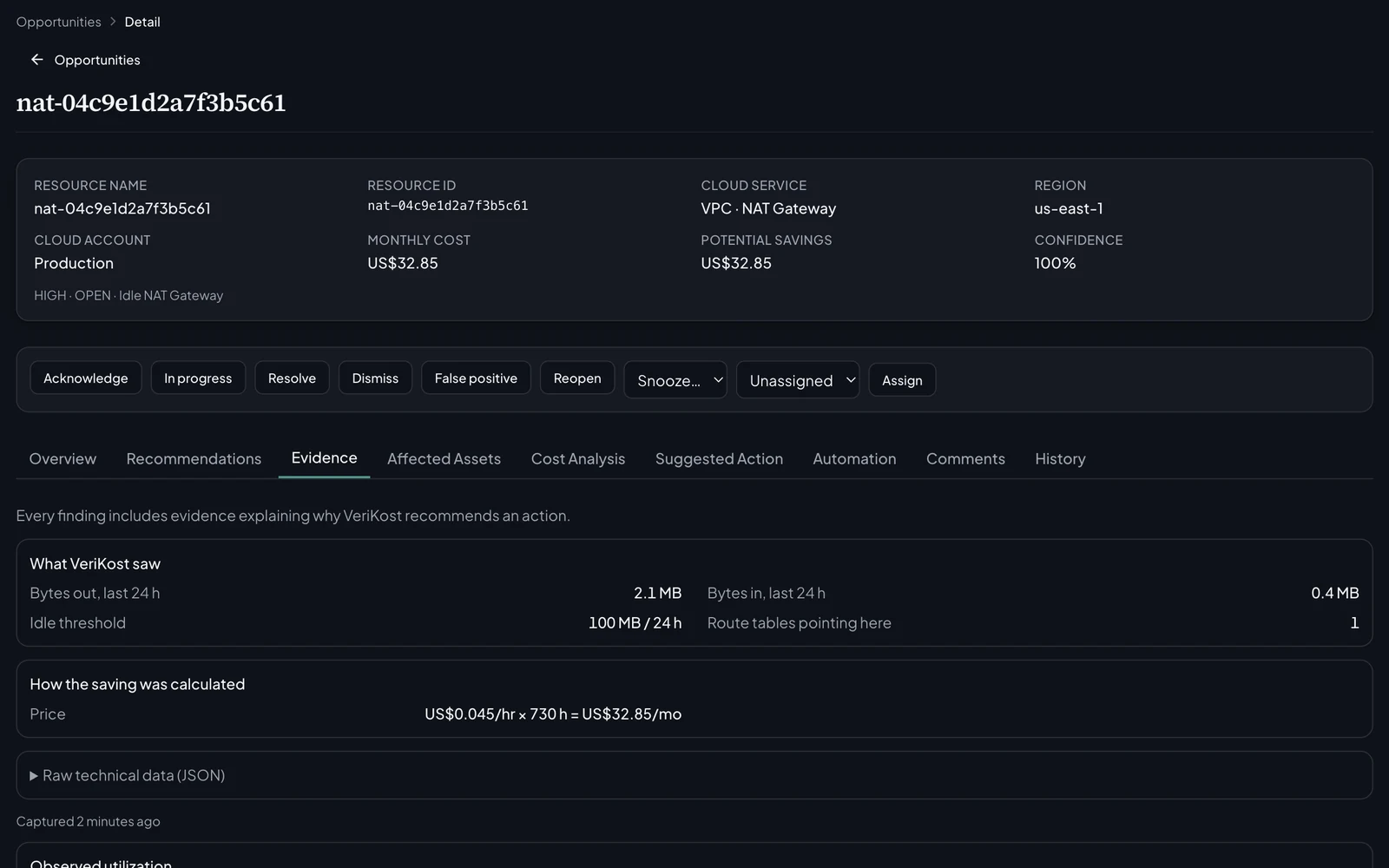 VeriKost finding detail, Evidence tab for an idle NAT gateway